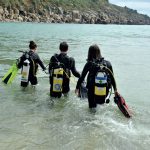 RNLI Leisure Diving Audience Profiling Research