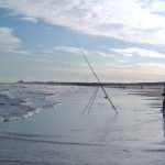 Attitudes towards data collection, management and development, and the impact of management on economic value of sea angling in the UK