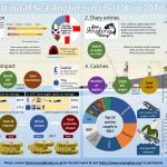 Participation, catches and economic impact of sea anglers resident in the UK in 2016 & 2017